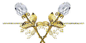 Gif animé bijoux broche